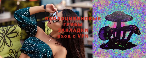 эйфоретик Мегион