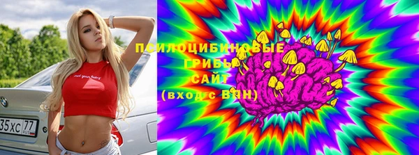 прущая мука Медногорск